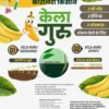 केला गुरु किट